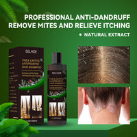 Shampoo EELHOE de Limpieza Profunda y Control de Grasa